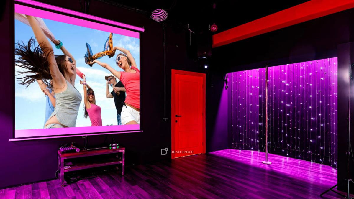 Лофт Bad Girl с караоке и пилоном на Бауманской - Фото №2