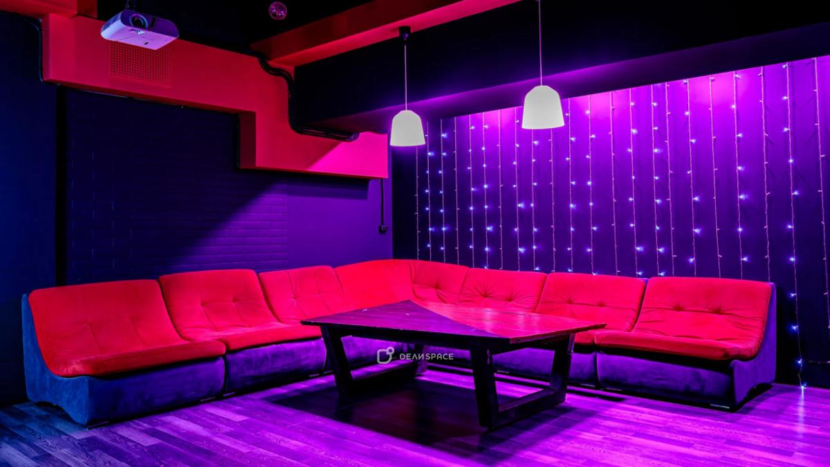 Лофт Bad Girl с караоке и пилоном на Бауманской - Фото №6