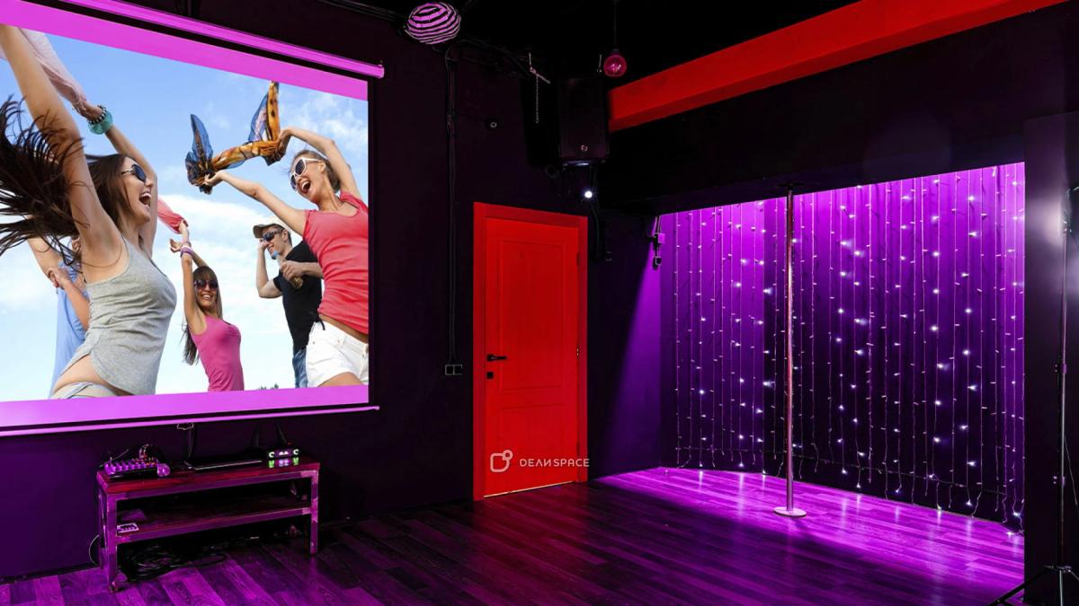 Лофт Bad Girl с караоке и пилоном на Бауманской - Фото №13