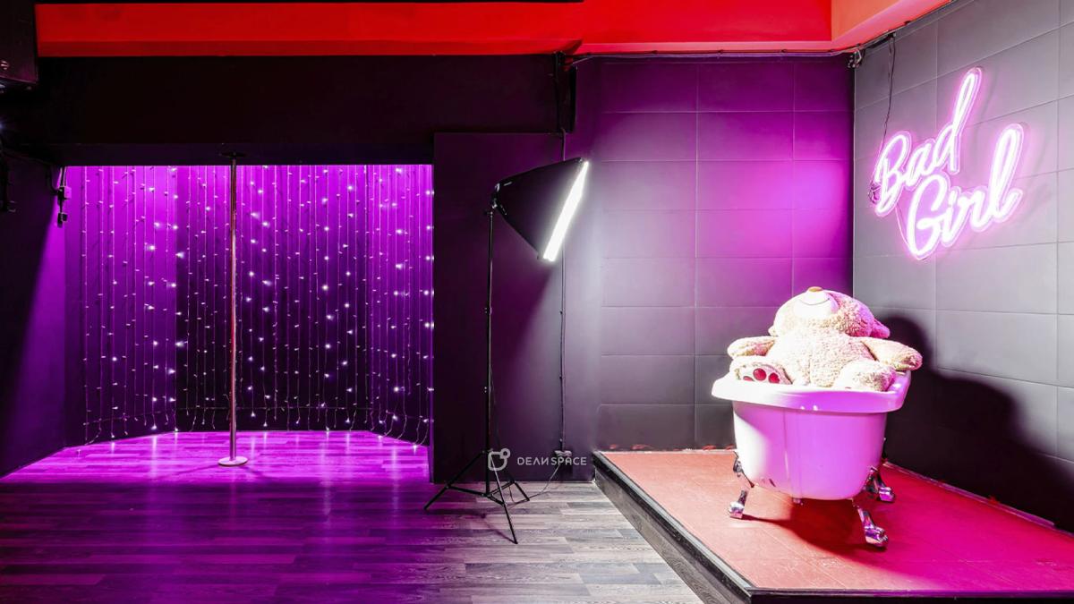 Лофт Bad Girl с караоке и пилоном на Бауманской - Фото №9