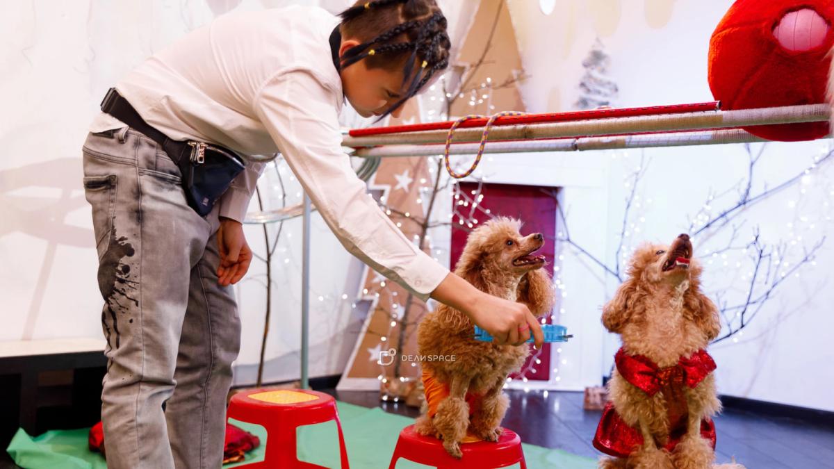 Лофт НЕвзрослые на Васильевском острове - Фото №14