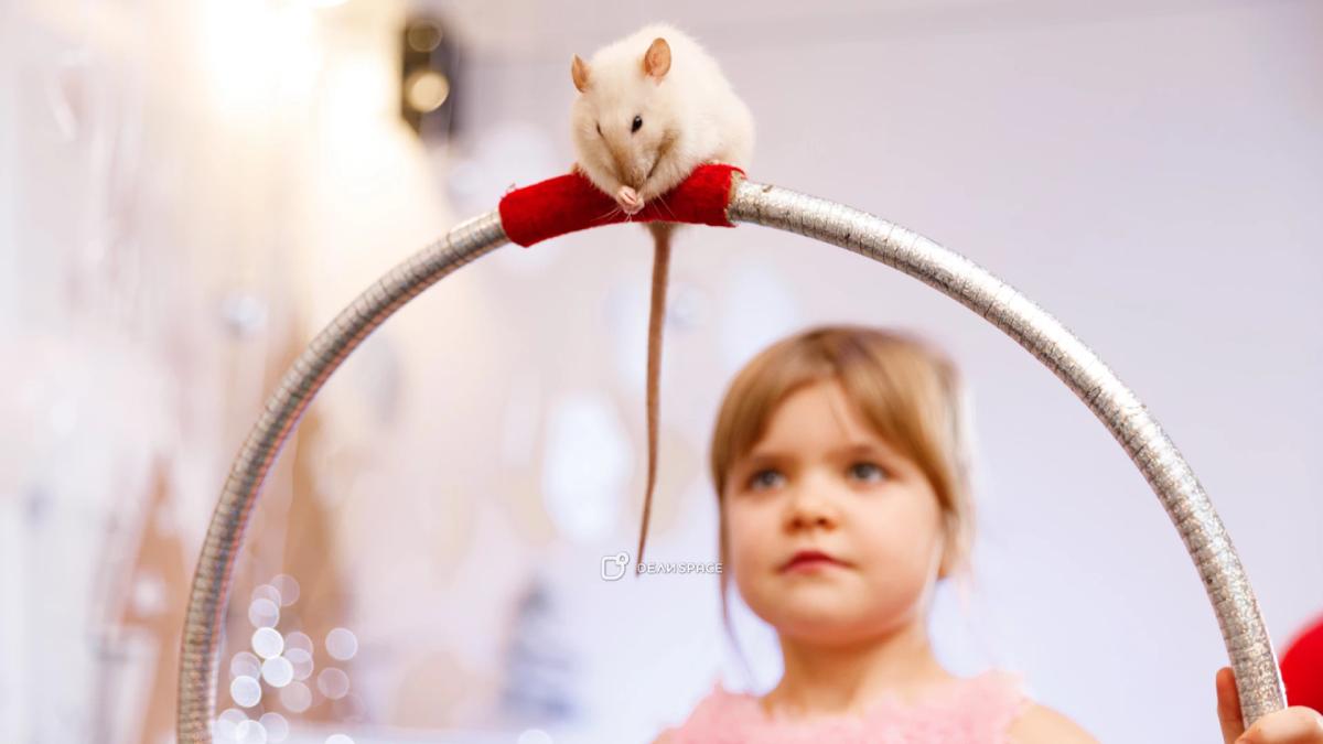 Лофт НЕвзрослые на Васильевском острове - Фото №15