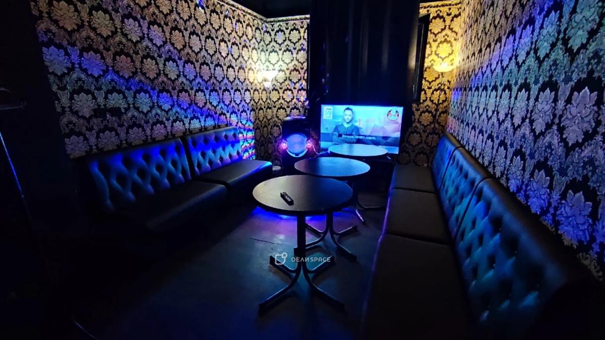 Лофт с караоке м. Площадь Александра Невского - Фото №3