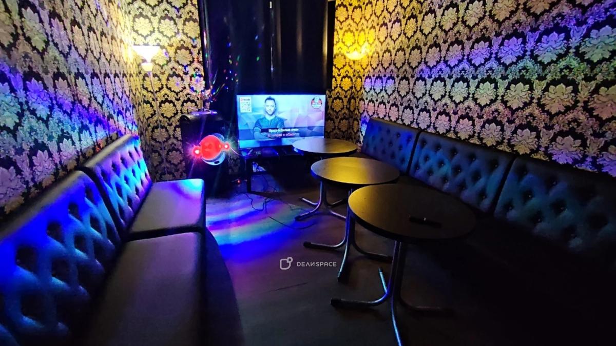 Лофт с караоке м. Площадь Александра Невского - Фото №4