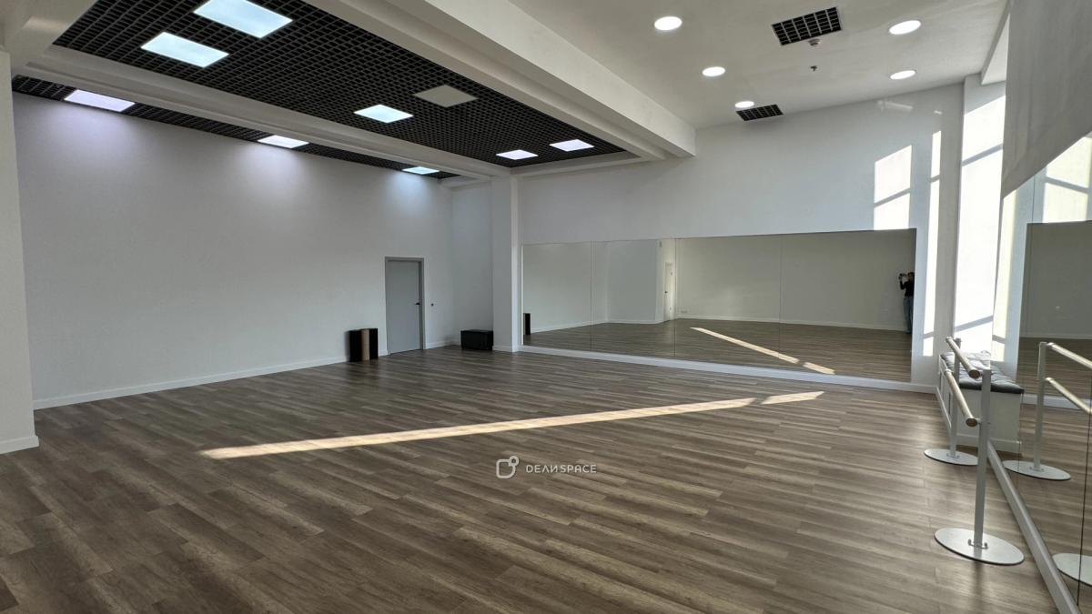 Зал для танцев, йоги, гимнастики на Пражской № 3 - Фото №6