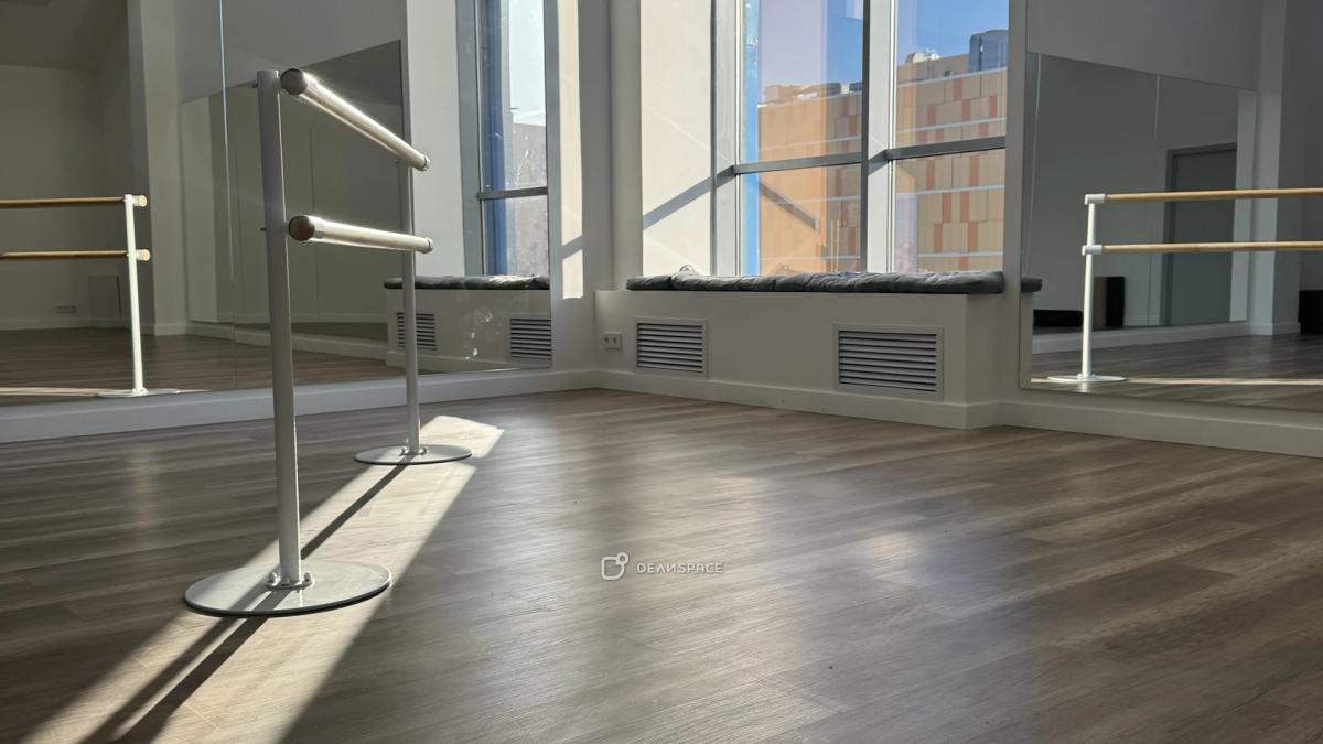 Зал для танцев, йоги, гимнастики на Пражской № 3 - Фото №8