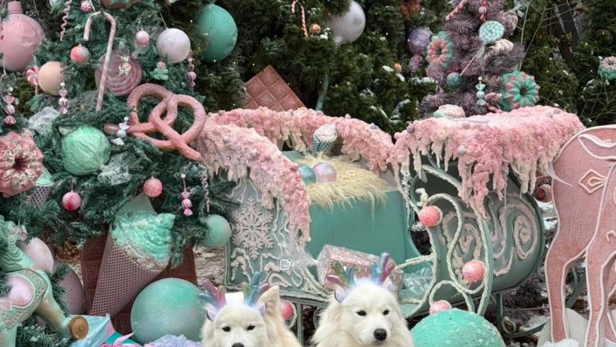 Фотодача и уличные фотозоны Zoofotostudio в Строгино - Фото №7