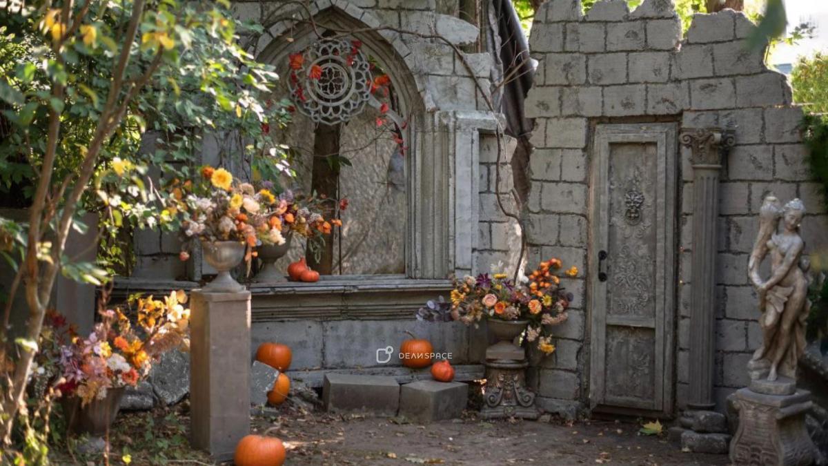 Фотодача и уличные фотозоны Zoofotostudio в Строгино - Фото №2