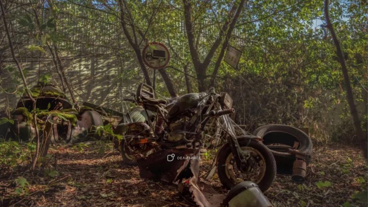 Фотодача и уличные фотозоны Zoofotostudio в Строгино - Фото №4