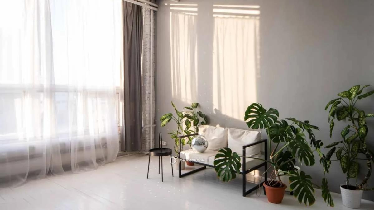 Фотостудия White Garden на Электрозаводской - Фото №3