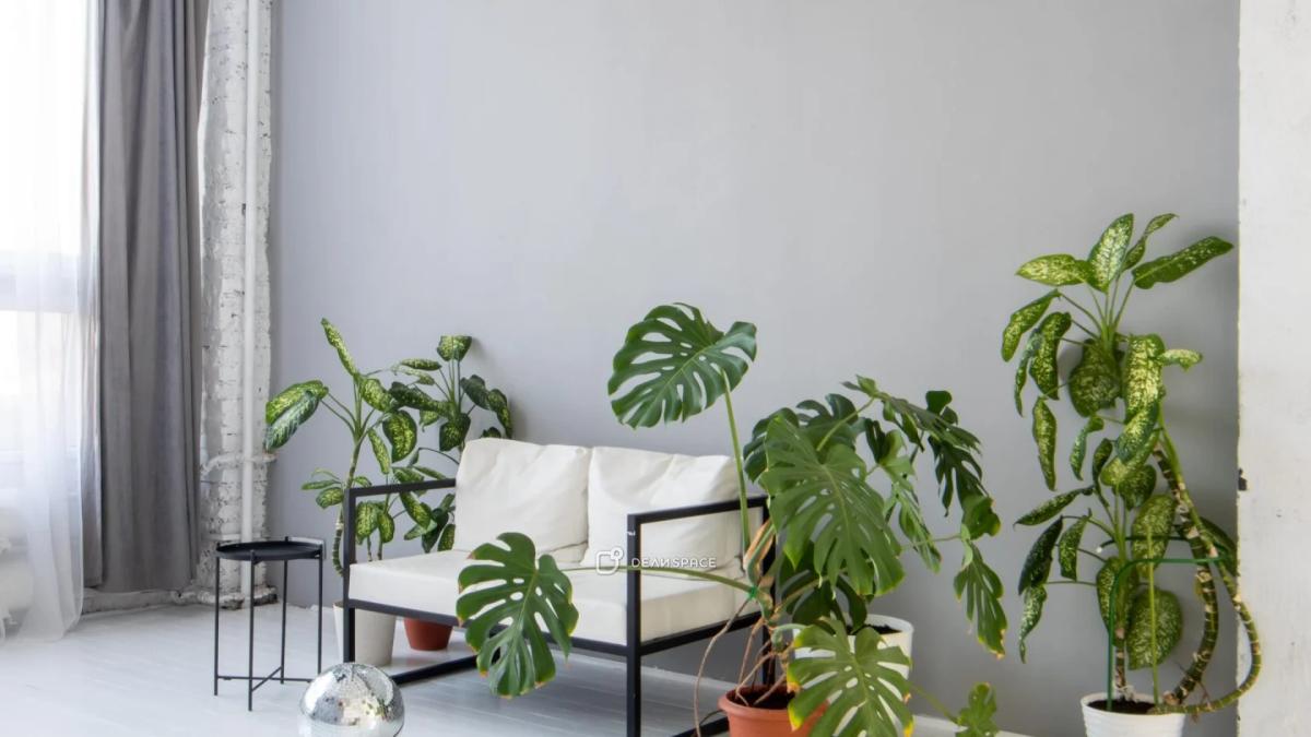 Фотостудия White Garden на Электрозаводской - Фото №5