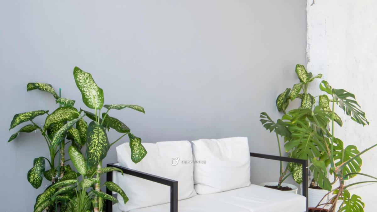 Фотостудия White Garden на Электрозаводской - Фото №9