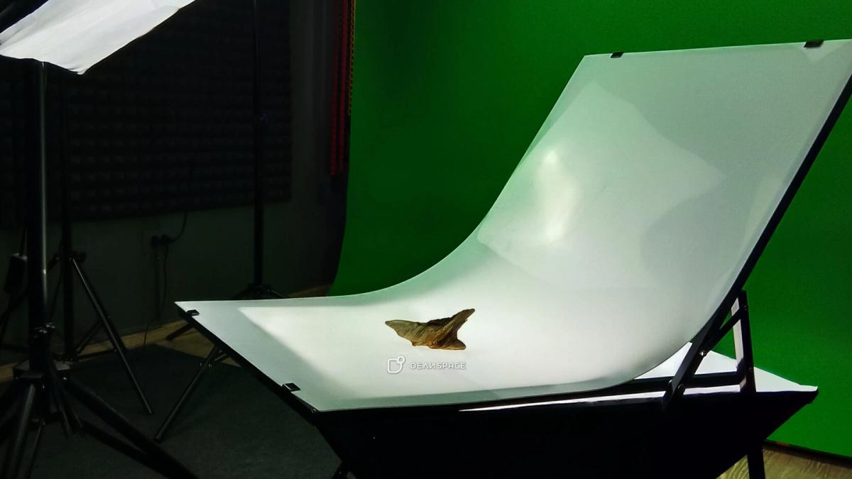 Студия Sosnovka для фото- и видеосъемки м. Удельная - Фото №1