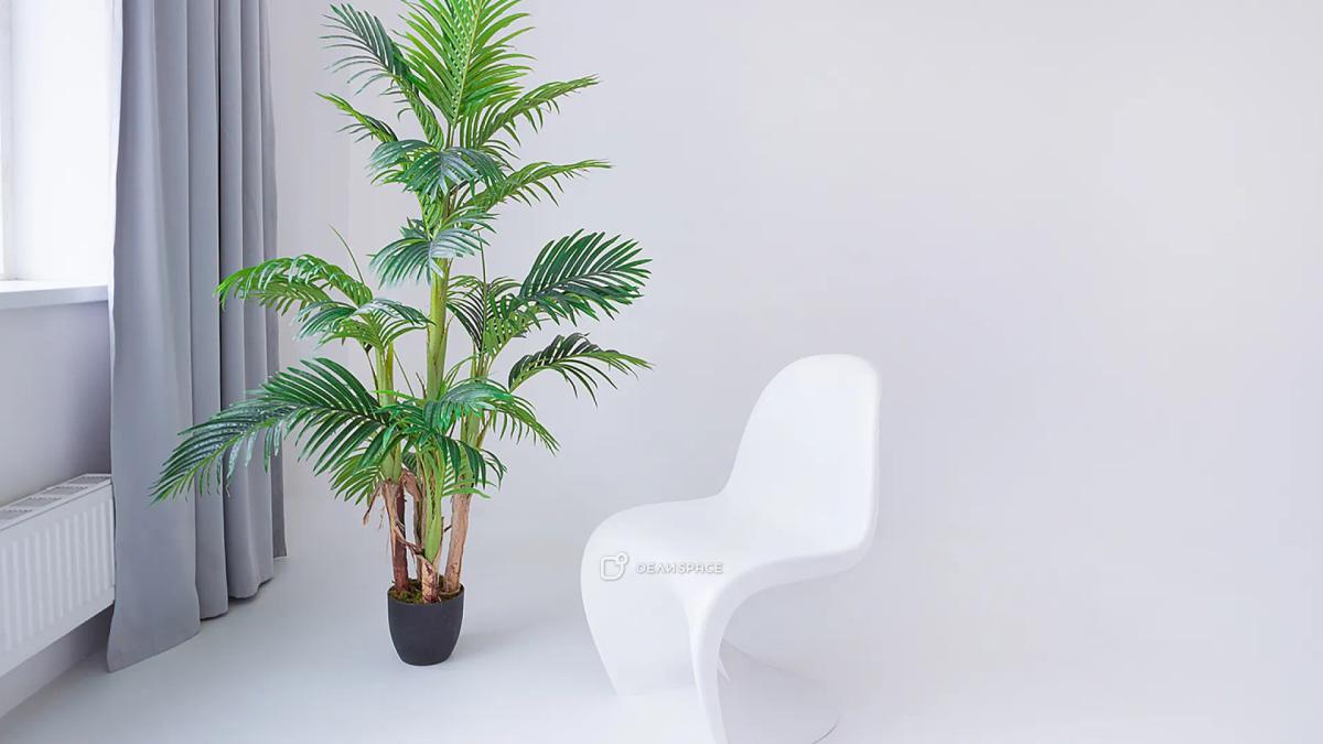 Зал для фотосессий Алан м. Партизанская - Фото №7