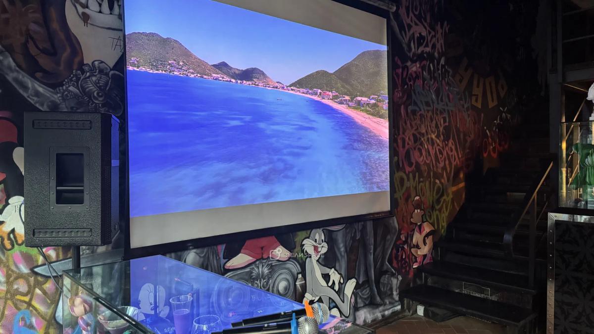 Двухэтажный лофт с баром и караоке - Фото №10